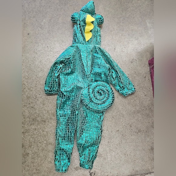 Baby Chameleon Halloween Costume 18-24 months - Picture 2 of 4